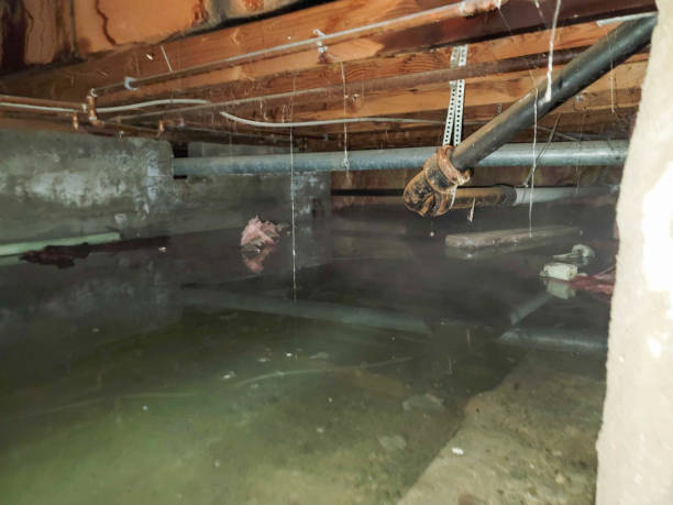 Carpet water damage restoration in KS