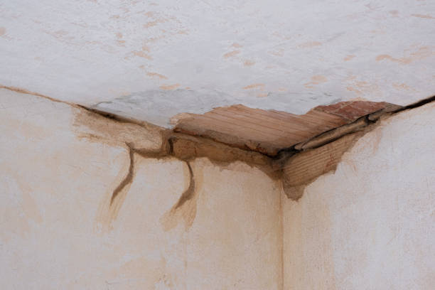 Best Emergency water damage restoration  in Chetopa, KS