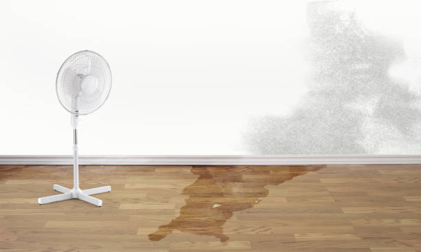 Best Flood damage cleanup  in Chetopa, KS
