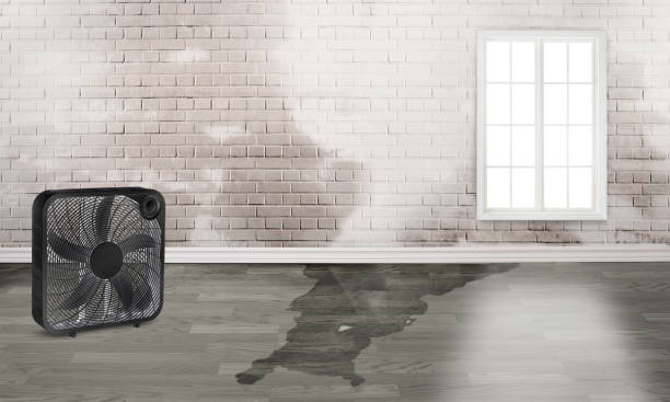 Best Sewage cleanup and water damage restoration  in Chetopa, KS