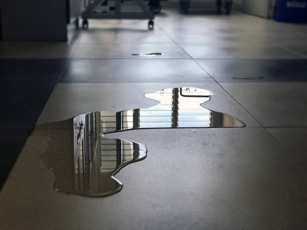 Best Water damage restoration experts  in Chetopa, KS