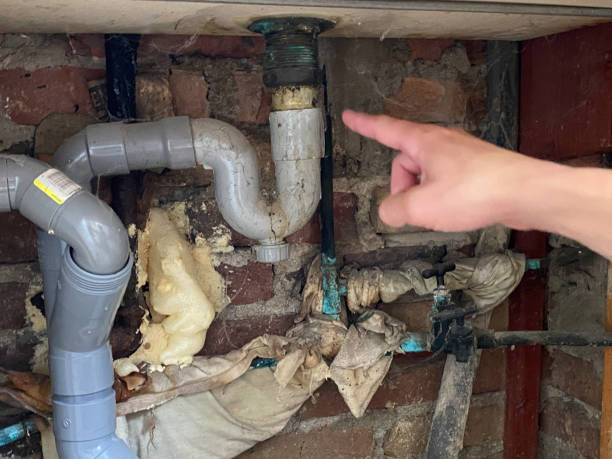 Best Flooded house restoration  in Chetopa, KS