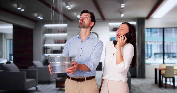 Best Local water damage restoration  in Chetopa, KS