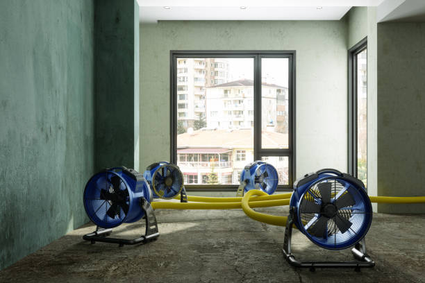 Best Carpet water damage restoration  in Chetopa, KS