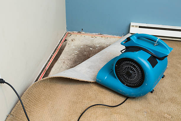 Best Water damage restoration near me  in Chetopa, KS